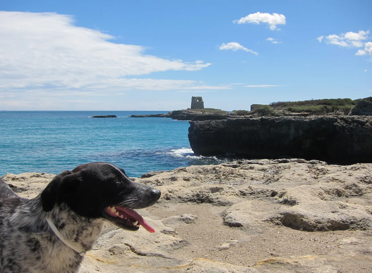 Le spiagge più belle vicino a Ostuni: guida aggiornata 2026