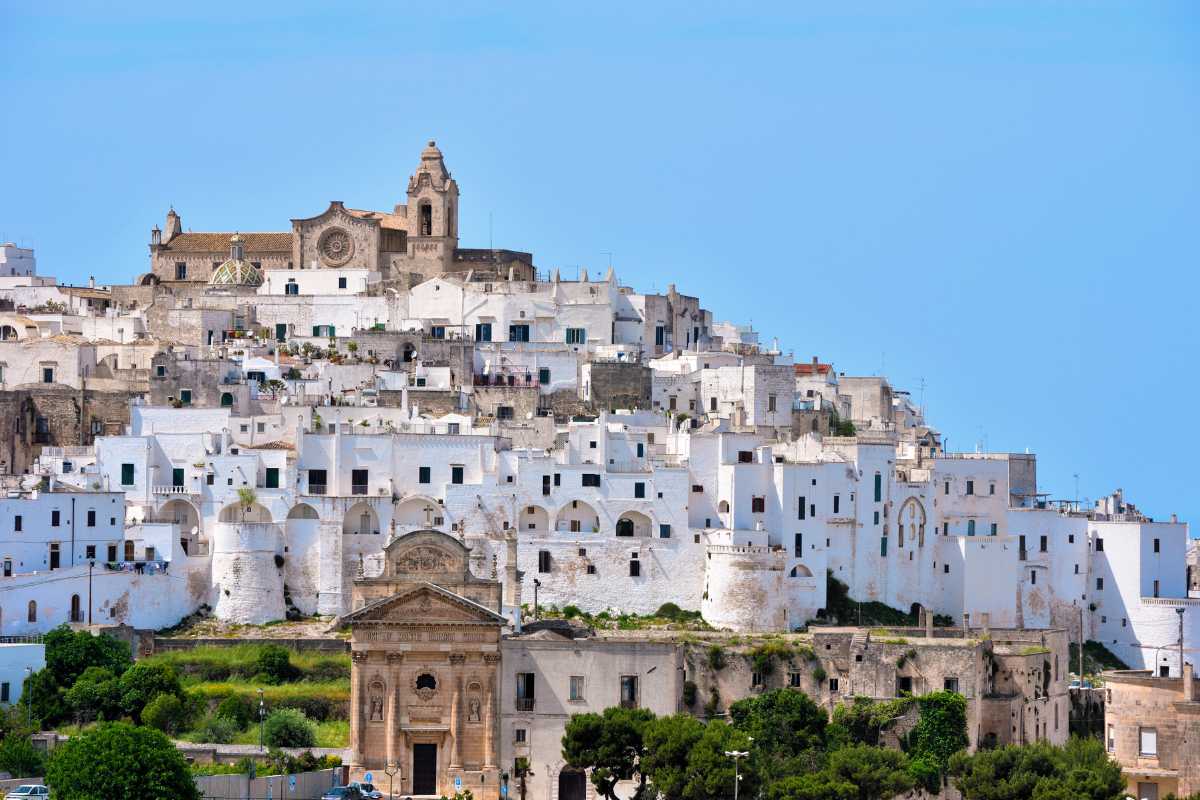 Un treno regionale in arrivo alla stazione di Ostuni, con cartello della stazione visibile e lo sfondo di ulivi e tipica campagna pugliese
